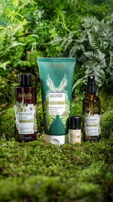 Beschützt sein, Zirbelkiefer, Waldzauber Aromamischung