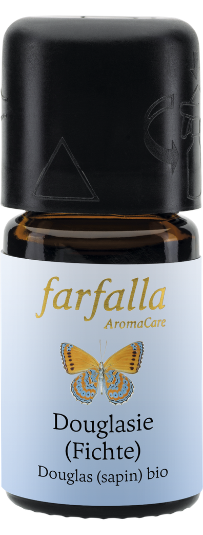 Douglasie (Fichte) bio Wildsammlung